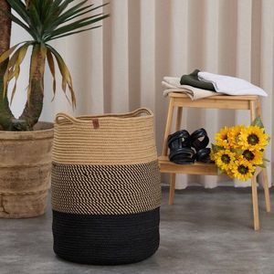 Basket Coco24014 obraz