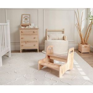 Kid's Step Stool BLTYZ-AKTV035 obraz