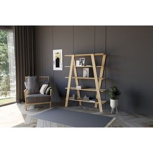 Knihovna Conde - Sapphire Oak obraz