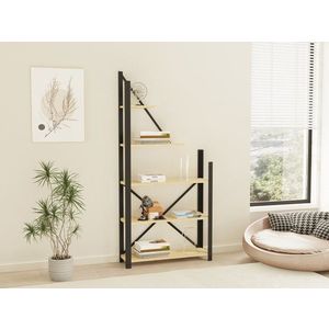 Knihovna Eagle obraz