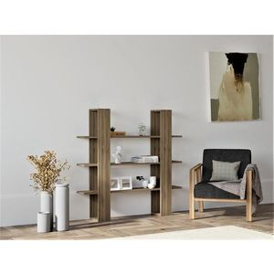 Knihovna Ada - Walnut obraz