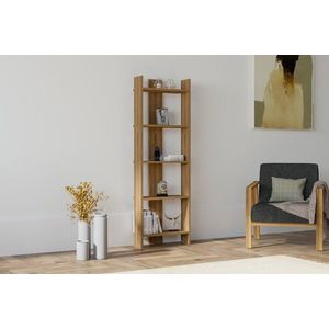 Knihovna Virba - Walnut obraz