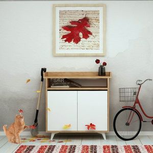 Botník Springa obraz