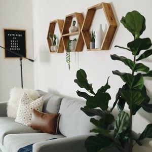 Nástěnná police Hex004 obraz