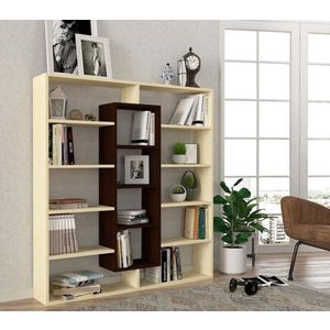 Knihovna Ample - Wenge, Birch obraz