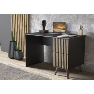 Psací stůl FRN-9014 obraz