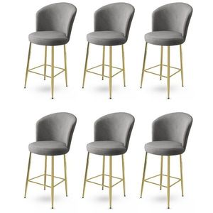 Bar Stool Set (6 Pieces) Fora - Grey, Gold obraz