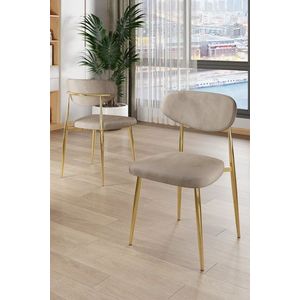 Sada židlí (4 kusy) Vina - Cappuccino, Gold obraz