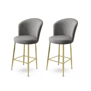 Bar Stool Set (2 Pieces) Alte - Grey, Gold obraz