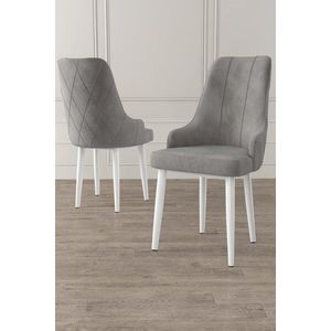 Sada židlí (2 kusy) Trex - Grey, White obraz