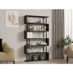 Knihovna Hector - Antrachite obraz