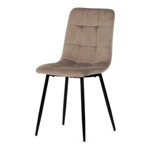 Jídelní židle CT-281 samet Autronic obraz