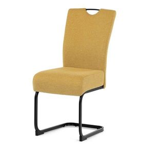 Jídelní židle DCL-E2008 Autronic obraz