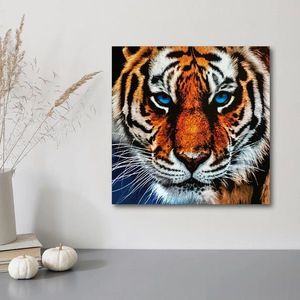 Diamantové malování Tygr obraz