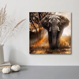 Diamantové malování Africký slon obraz