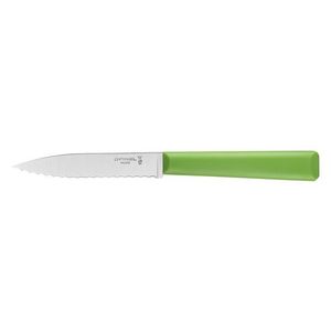 Opinel Zoubkovaný nůž Essentiels N°313, 10 cm, zelený 2354 obraz