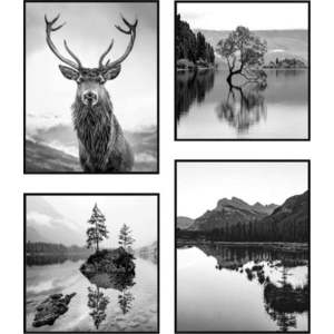 Obrazy v sadě 4 ks 30x40 cm Wild obraz