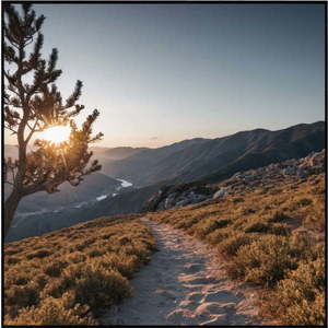 Obraz 50x50 cm Mountain Path obraz