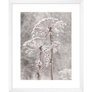 Obraz 40x50 cm Snow – knor obraz