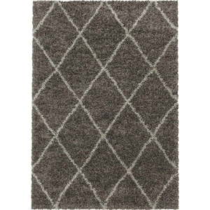 Hnědý koberec 240x340 cm Alvor – Ayyildiz Carpets obraz