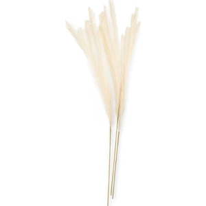 Umělá tráva 3 ks (výška 125 cm) Delhi – Restilo obraz