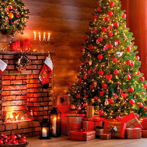 Ubrousky v sadě 20 ks 33x33 cm Noel – Homéa obraz