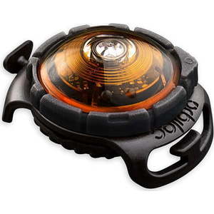 LED světlo na obojek Amber – Orbiloc obraz