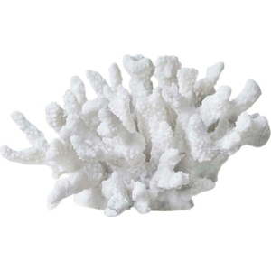 Soška z polyresinu (výška 10 cm) Coral – Mette Ditmer Denmark obraz