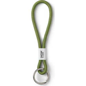 Zelené poutko na klíče Green 15-0343 – Pantone obraz