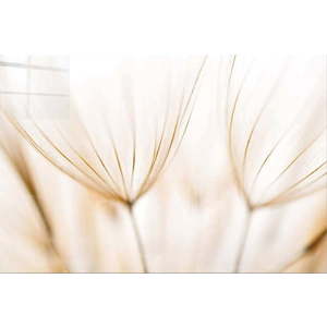 Skleněný obraz 100x70 cm Fluff – Wallity obraz