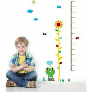 Nástěnná samolepka Ambiance Frog and Flower obraz