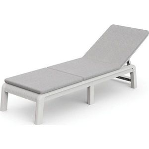 Světle šedé plastové/polstrované polohovací/skládací zahradní lehátko Atlas – Keter obraz
