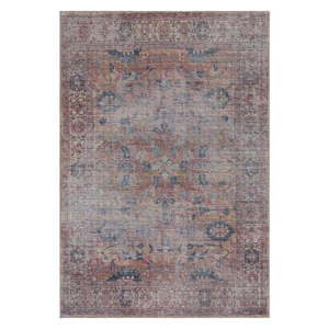 Koberec 170x120 cm Kaya - Asiatic Carpets obraz
