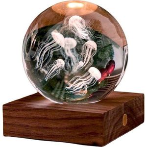 Tmavě hnědá světelná dekorace na USB Amber – Gingko obraz