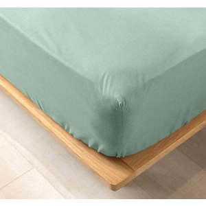 Světle zelené napínací prostěradlo z Bio bavlny 140x190 cm Biolina – douceur d'intérieur obraz