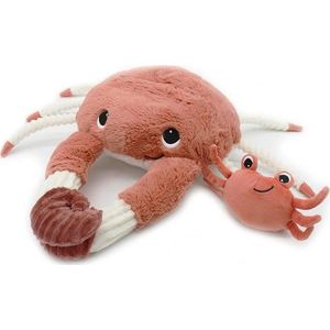 Plyšové hračky v sadě 2 ks Ptipotos Cassecou – Les Deglingos obraz