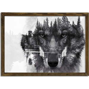 Nástěnný obraz Husky, 70 x 50 cm obraz