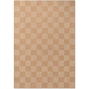 Krémový/v přírodní barvě vnitřní a venkovní koberec 200x300 cm Haringey Dorothy – Ted Baker obraz