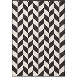 Černý/krémový vnitřní a venkovní koberec 120x170 cm Haringey Terrick – Ted Baker obraz