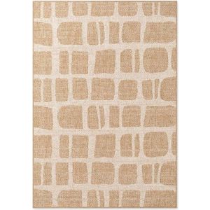 Krémový/v přírodní barvě vnitřní a venkovní koberec 160x230 cm Haringey Ruskin – Ted Baker obraz