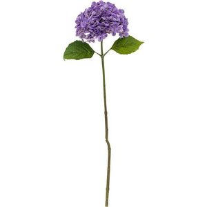 Umělá květina (výška 73, 5 cm) Hydrangea – Bloomingville obraz