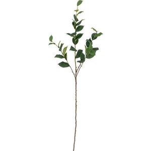 Umělý eukalyptus (výška 110 cm) Eucalyptus – Bloomingville obraz