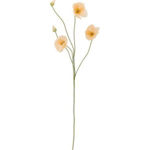 Umělá květina (výška 110 cm) Poppy – Bloomingville obraz