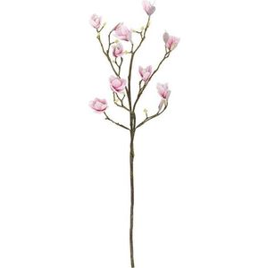 Umělá větvička (výška 125 cm) Magnolia – Bloomingville obraz