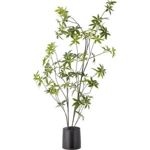 Umělá rostlina (výška 160 cm) Palmatum – Bloomingville obraz