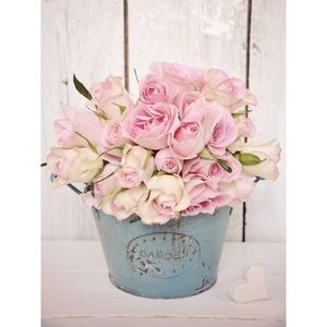 Euroart MALBA NA PLÁTNĚ, květiny, 30/40 cm obraz