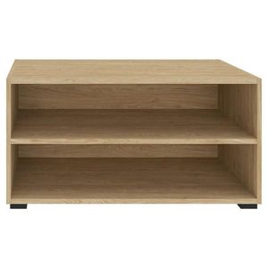 Hom`in REGÁL, barvy dubu, 91/45/40 cm obraz