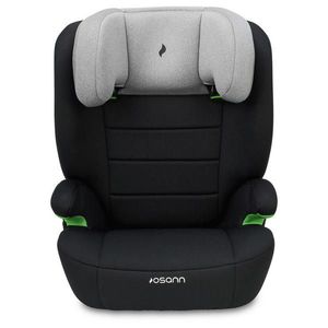 Osann DĚTSKÁ AUTOSEDAČKA obraz