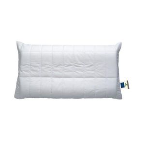 Billerbeck ŠÍJOVÝ OPĚRNÝ POLŠTÁŘ 40/80 cm obraz