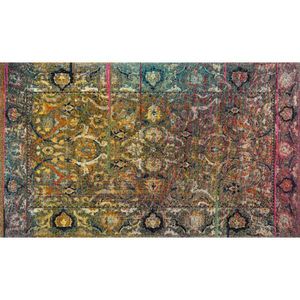 wash+dry BĚHOUN, 70/120 cm vícebarevná obraz